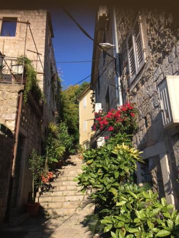 Apartment Simo Herceg Novi Exterior photo